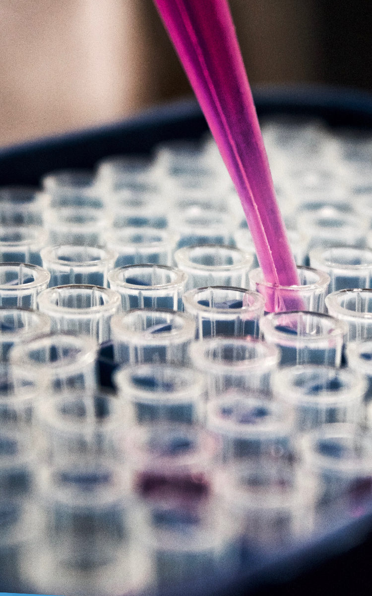 江苏西奥医用材料有限公司